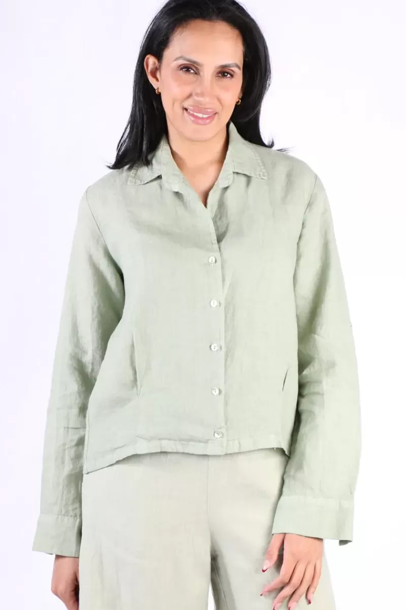 BLUEBERRY Cropped Classic Shirt In Sage