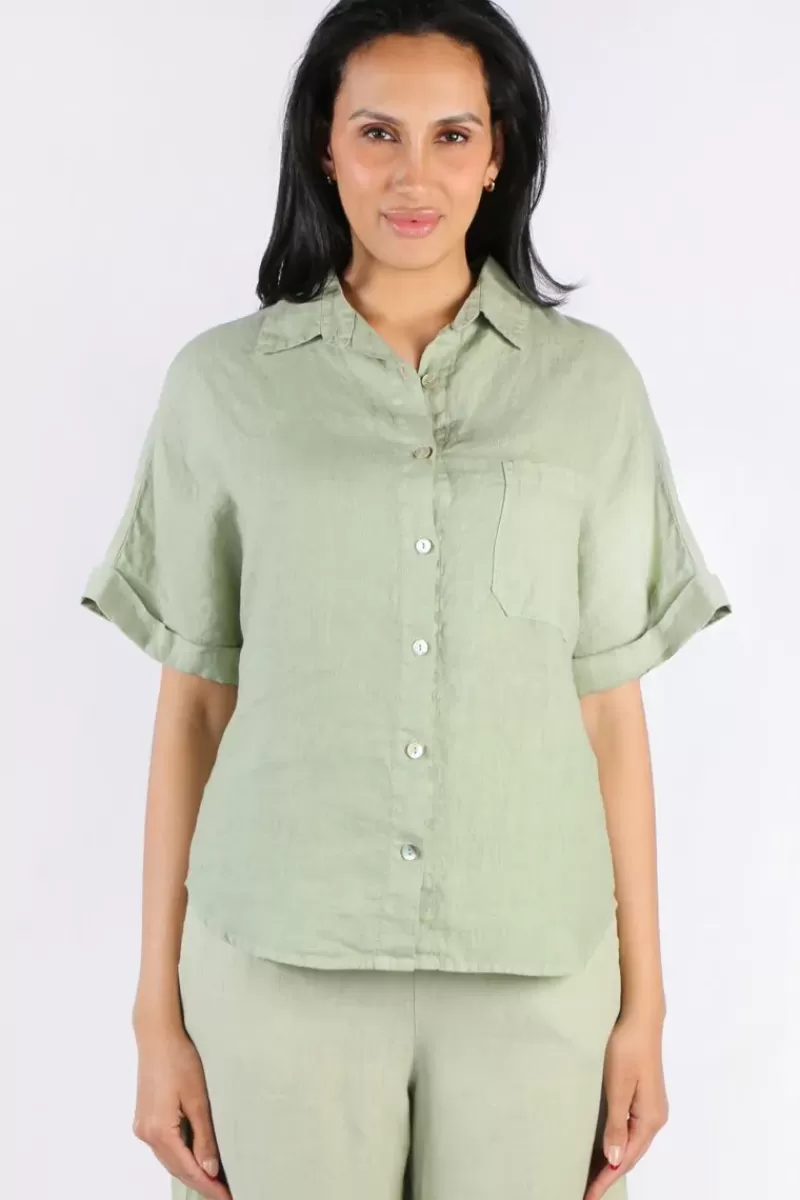 BLUEBERRY Short Sleeve Shirt In Sage