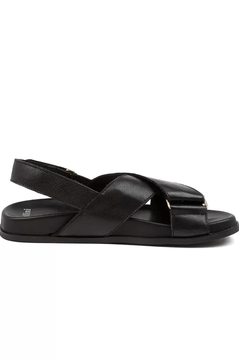 MOLLINI Haylow Sandal In Black