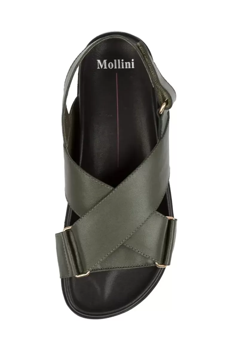 MOLLINI Haylow Sandal In Olive