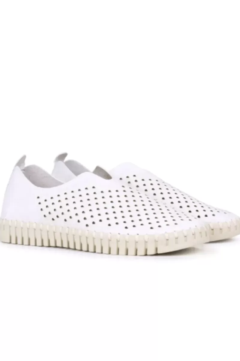 ILSE JACOBSEN Tulip Flat By In White