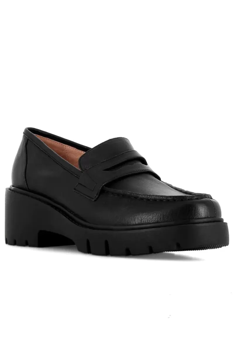 DJANGO & JULIETTE Unice Brogue Shoe In In Black