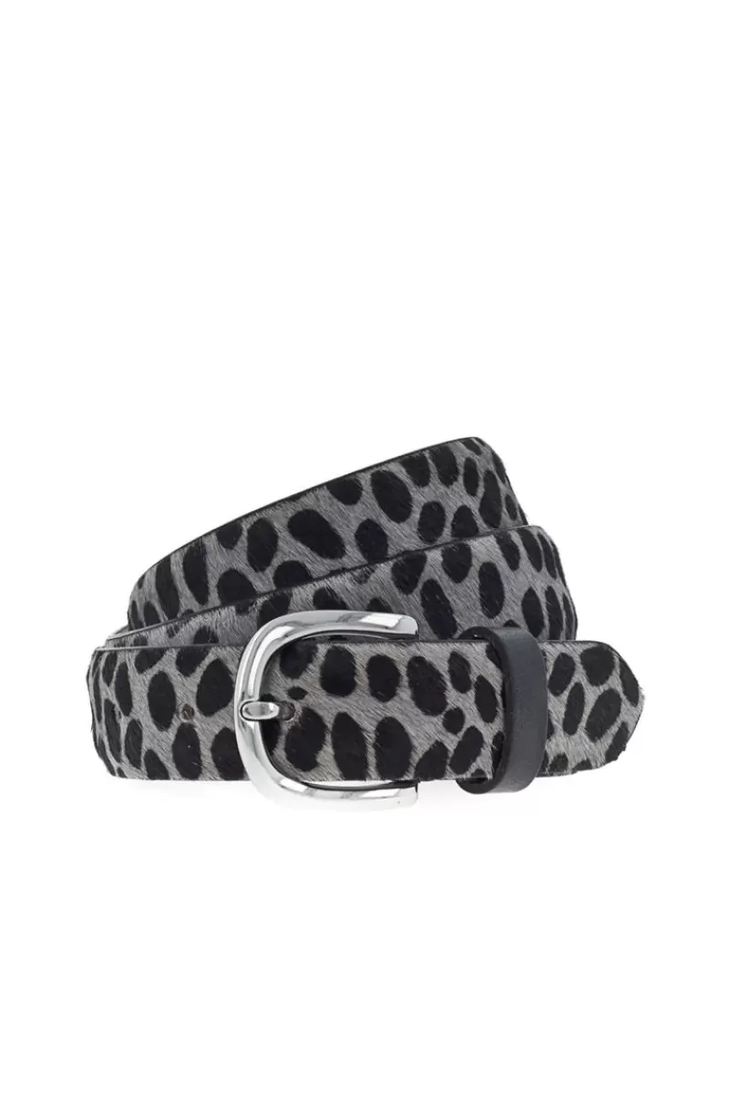 VANZETTI Cheetah Belt In Black