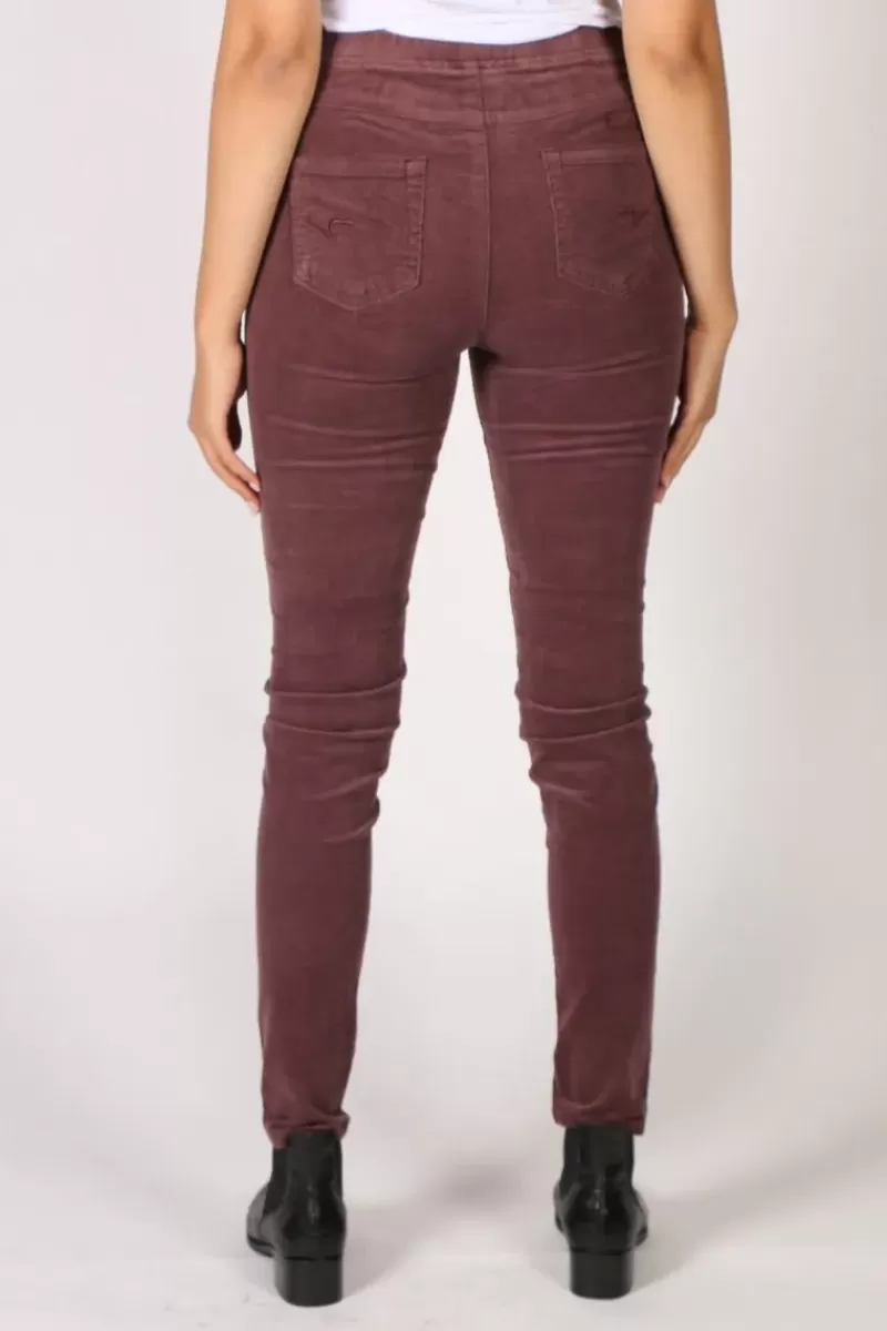 VASSALLI Slim Corduroy Pant In Wine