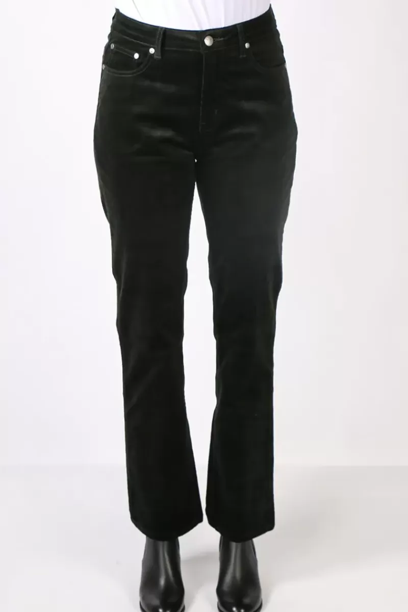 VASSALLI Straight Leg Pant In Forest